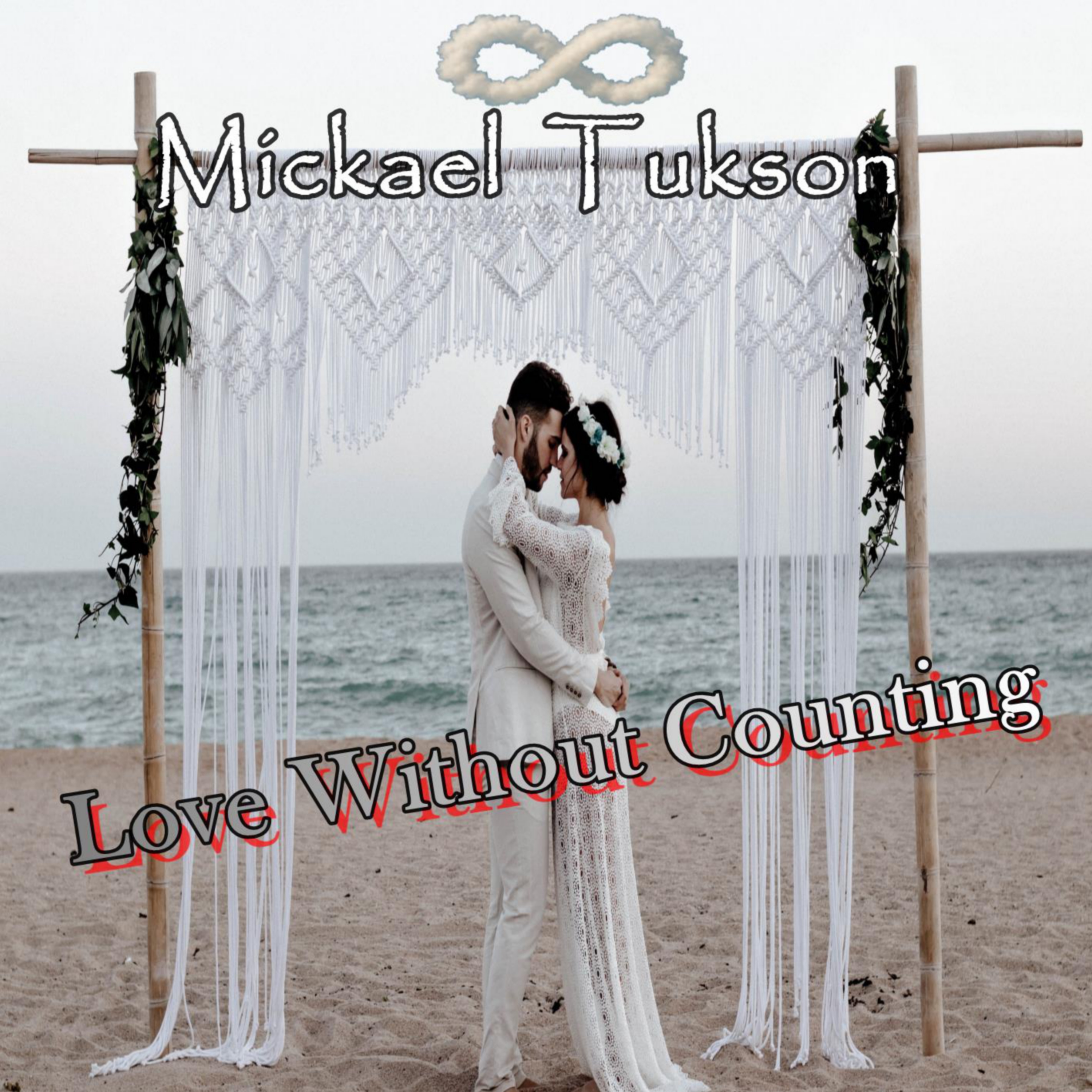 Pochette avant de Love Without Counting